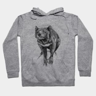 Tasmanian Tassie Devil scientific nature black ink pen drawing illustration Hoodie